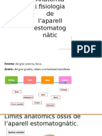 UD3. Anatomia I Fisiologia de L'aparell Estomatognàtic