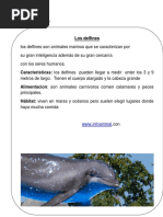 Articulo Informativo Sobre Delfines Tia Nicole