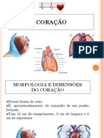 Coracao-25p.pdf