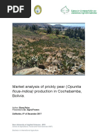 Opuntia Fig Indica Thesis-E. Paiuc2