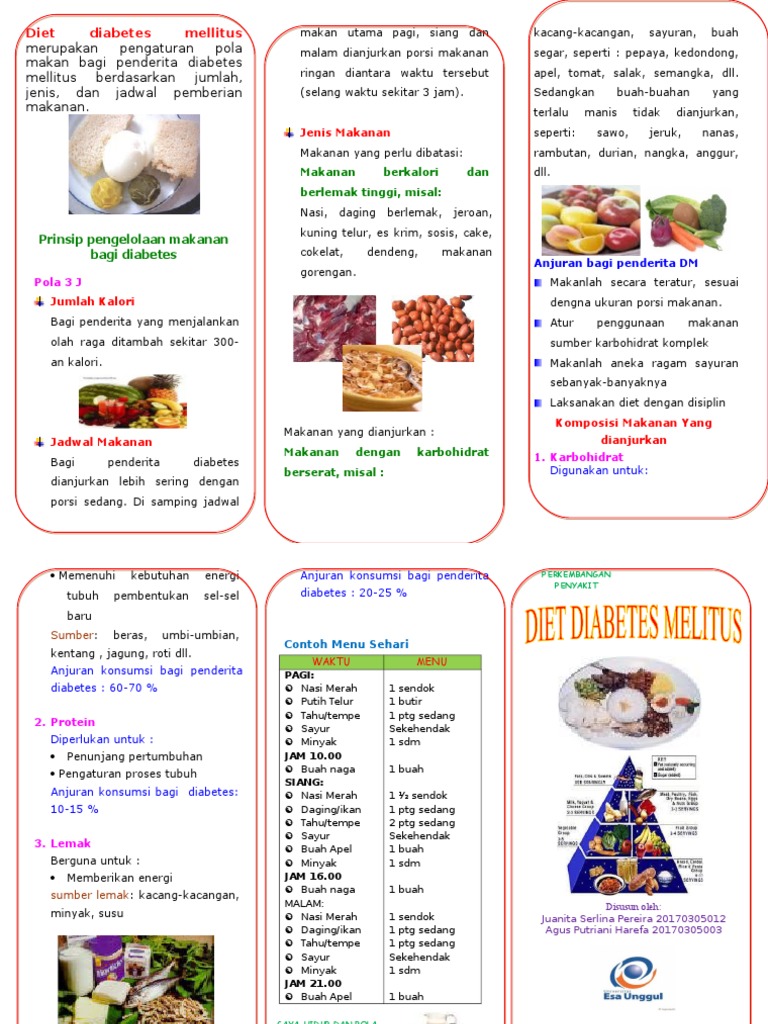 Leaflet Diet DM | PDF