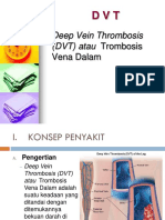 DVT Penyakit Trombosis Vena Dalam