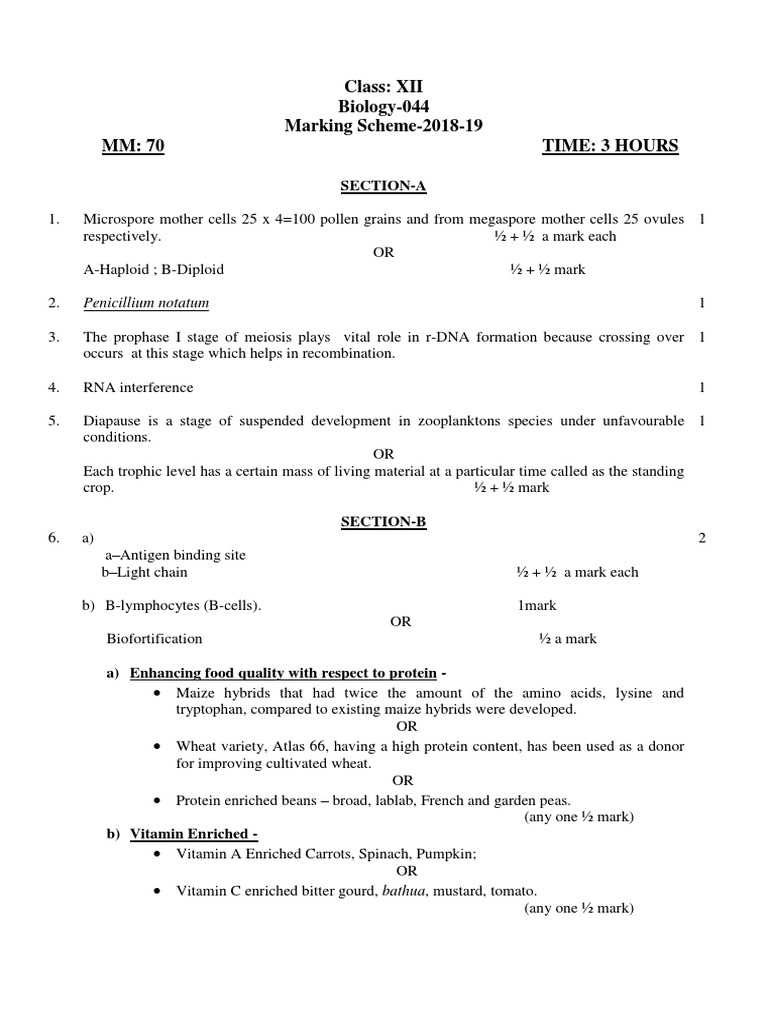 Class XII Biology Marking Scheme 2018-19 | PDF | Genetic Linkage | Meiosis