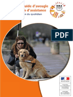 DMA - Le Chien Guide D'aveugle Ou Le Chien D'assistance