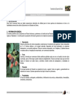 Cultivo de La Zarzamora PDF