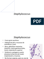 Staphylococcus Slide