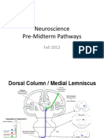 Neuroscience Pre-Midterm Pathways: Fall 2012