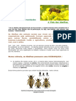 abelhas_curios1.pdf