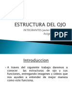 ESTRUCTURA DEL OJO.pptx