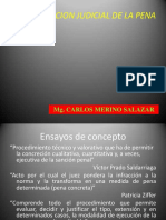 Determinacion judicial de la pena.pdf