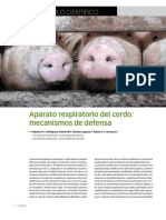 Aparato respiratorio del cerdo.pdf