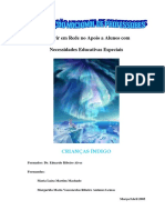 indigo.pdf