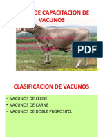 Curso de Capacitacion de Vacunos