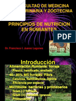 2_principios.ppt