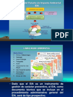 Estructura Del Eia