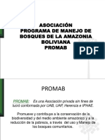 Presentacion 2008 Experiencias MFC en El PROMAB