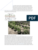 Sistem Hidroponik Irigasi Atau Drip