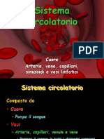019_Sistema_Circolatorio.ppt