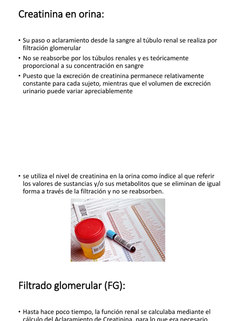 Creatinina en Orina | PDF | Riñón | Creatinina