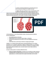 Edema Pulmonar