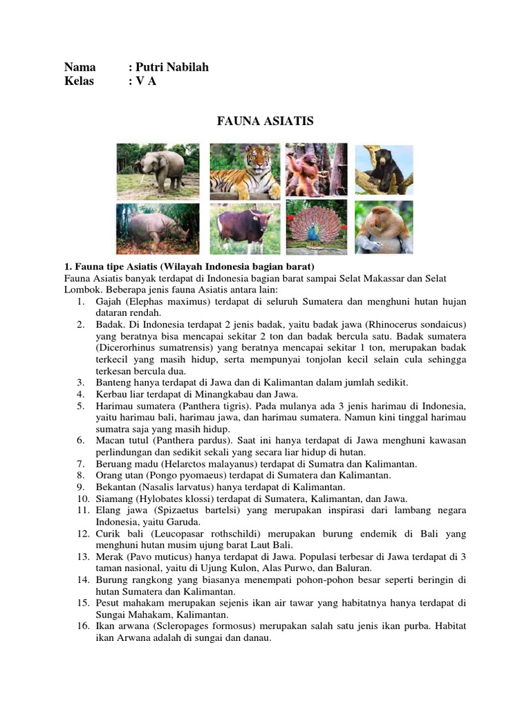 Ciri Ciri Fauna Di Wilayah Peralihan - Ini Cirinya