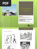 Aula 10 (Economia Circular)