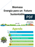 Biomasa Sabino Armenise