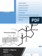 Cortisol