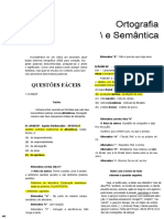 4. Revisaço Portugues - Ortografia e Semântica - OK