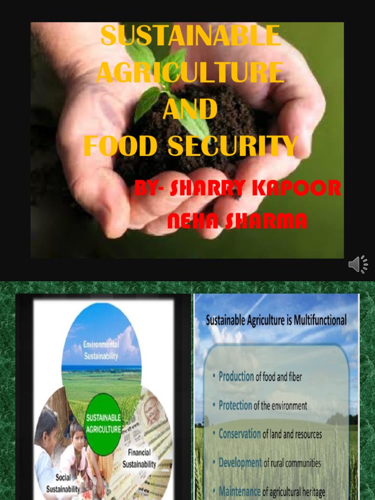 Sustainable Agriculture Food Security Insights Pdf Social Science