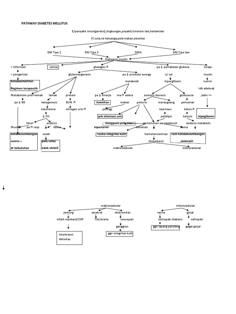 Pathway Diabetes Mellitus | PDF
