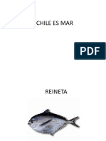 Chile Es Mar