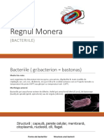 Bacterii 