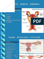 3.1.- APARATO GENITAL FEMENINO.pdf