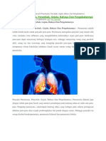 Penyakit Pneumonia