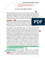 Ensayo - NORMAS RÍGIDAS O FLEXIBLES PDF