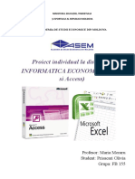 Informatica proiect individual.doc