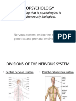 Biopsychology: Everything That Is Psychological Is Simultaneously Biological