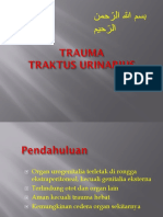 Trauma Traktus Urinarius