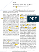 Differential Roles of Nmda Receptor Subtypes Nr2A and Nr2B in Dendritic Branch Development and Requirement of Rasgrf1