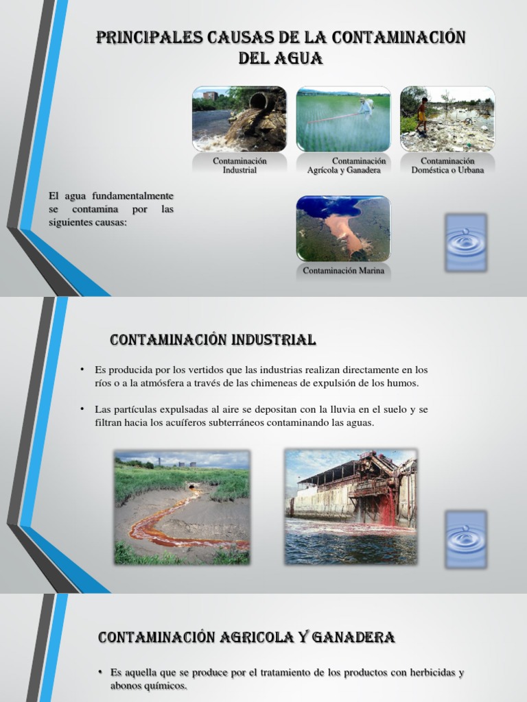 Causas de la Contaminación del Agua | PDF | Cocina, comidas y vino ...