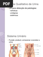 Aula 5. Exame Qualitativo de Urina