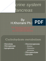 Endocrine Pancreas