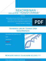 Dna Rekombinan