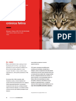 Cr Feline Chronic Enteropathy 43051 Article.en.Es