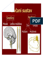 Zivcani - Sustav 2 PDF