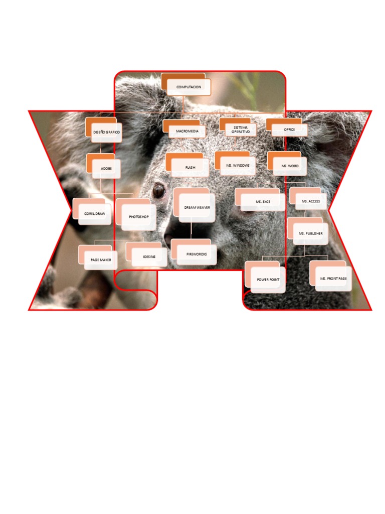 Graphic & Software Tools Overview | PDF
