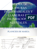 Sistemas de Llanuras Intermareales y Llanuras de Inundación