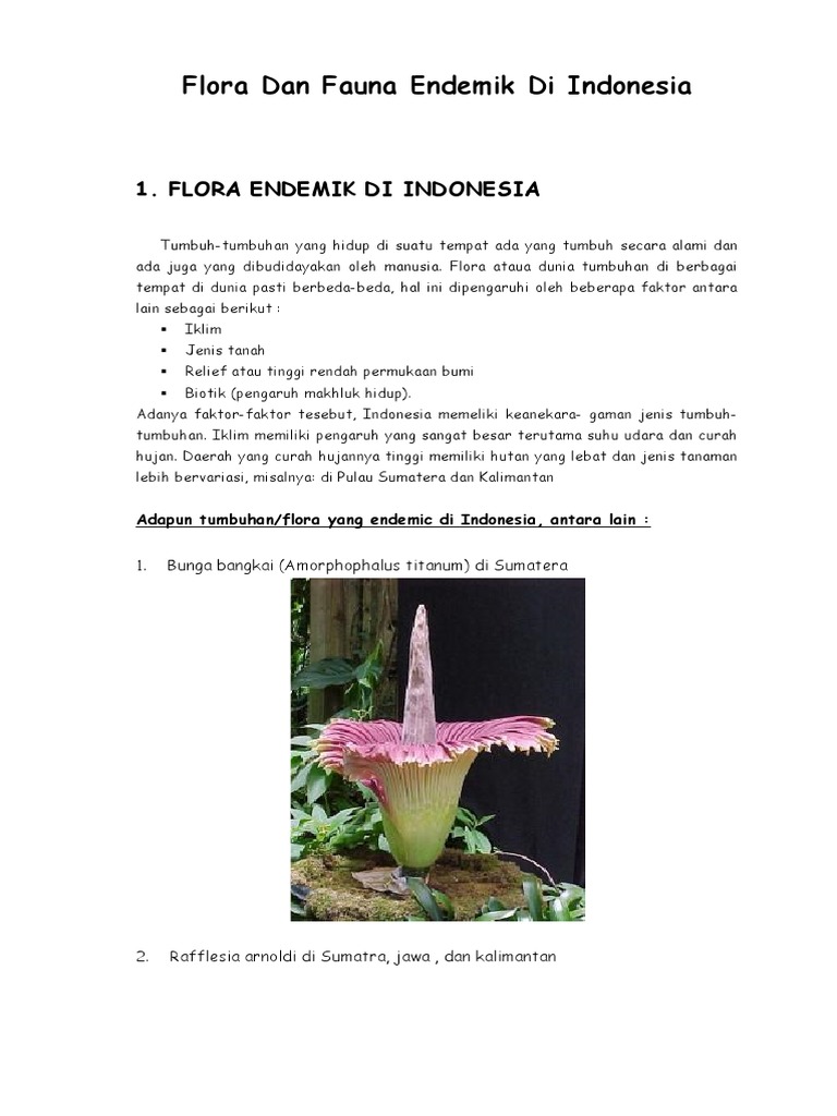 40 Gambar Flora Endemik Indonesia Gratis Terbaik