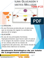 FISIOLOGÍA TEMA # 23.pptx